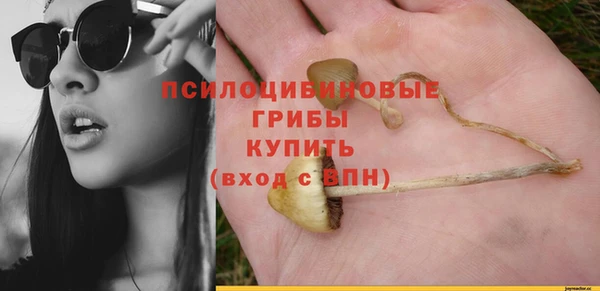 дурь Баксан